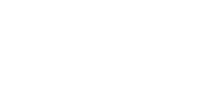 Singapore Fashion Council